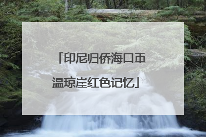印尼归侨海口重温琼崖红色记忆
