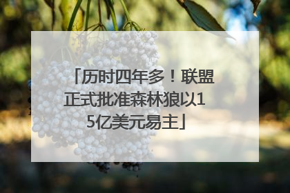 历时四年多！联盟正式批准森林狼以15亿美元易主
