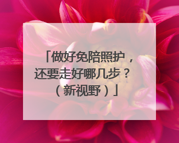 做好免陪照护，还要走好哪几步？（新视野）