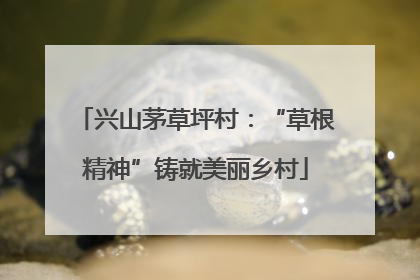 兴山茅草坪村：“草根精神”铸就美丽乡村