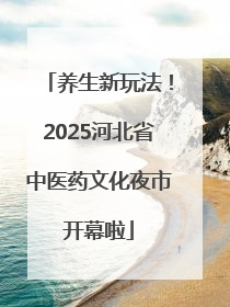养生新玩法！2025河北省中医药文化夜市开幕啦