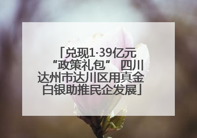兑现1·39亿元“政策礼包” 四川达州市达川区用真金白银助推民企发展