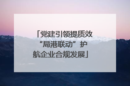 党建引领提质效 “局港联动”护航企业合规发展