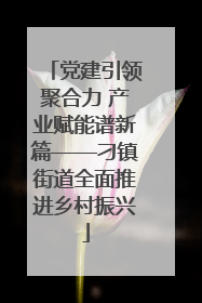党建引领聚合力 产业赋能谱新篇——刁镇街道全面推进乡村振兴