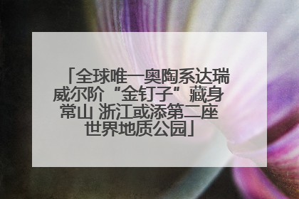 全球唯一奥陶系达瑞威尔阶“金钉子”藏身常山 浙江或添第二座世界地质公园
