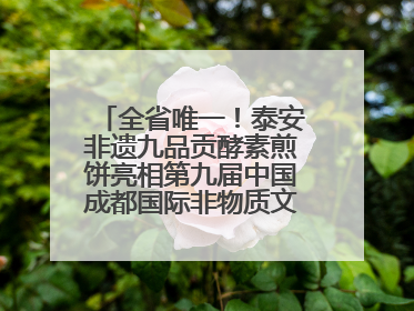 全省唯一！泰安非遗九品贡酵素煎饼亮相第九届中国成都国际非物质文化遗产节
