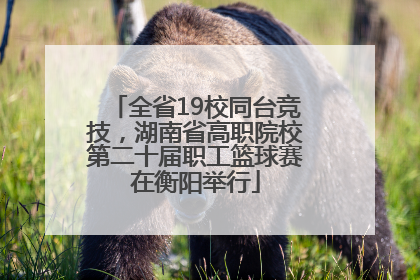 全省19校同台竞技，湖南省高职院校第二十届职工篮球赛在衡阳举行