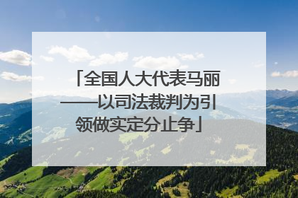 全国人大代表马丽——以司法裁判为引领做实定分止争