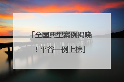 全国典型案例揭晓！平谷一例上榜