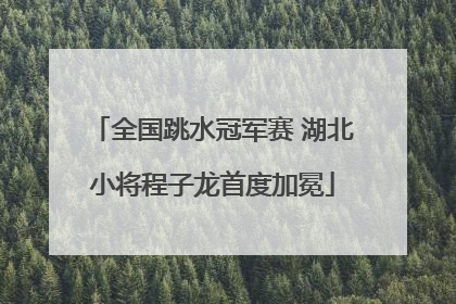 全国跳水冠军赛 湖北小将程子龙首度加冕