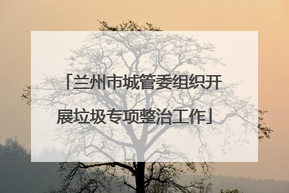 兰州市城管委组织开展垃圾专项整治工作