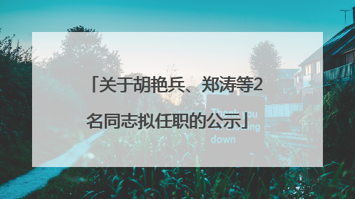 关于胡艳兵、郑涛等2名同志拟任职的公示