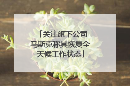 关注旗下公司 马斯克称其恢复全天候工作状态