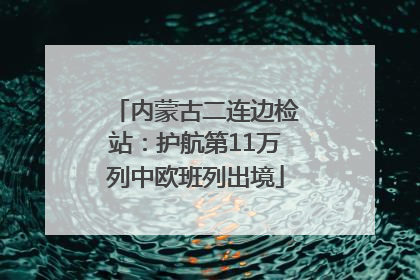 内蒙古二连边检站：护航第11万列中欧班列出境