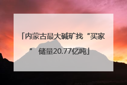 内蒙古最大碱矿找“买家” 储量20.77亿吨