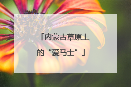 内蒙古草原上的“爱马士”