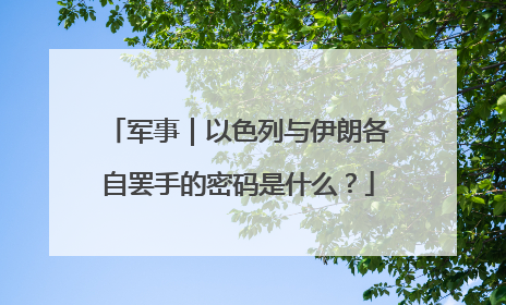 军事｜以色列与伊朗各自罢手的密码是什么？