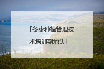 冬枣种植管理技术培训到地头