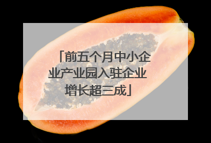 前五个月中小企业产业园入驻企业增长超三成