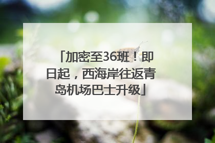 加密至36班！即日起，西海岸往返青岛机场巴士升级