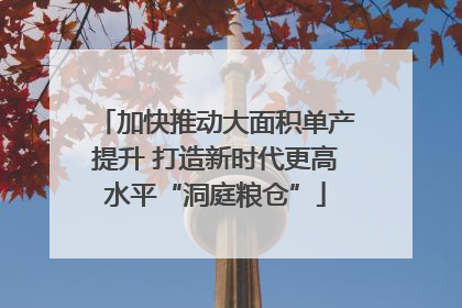 加快推动大面积单产提升 打造新时代更高水平“洞庭粮仓”