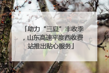 助力“三夏”丰收季，山东高速平度西收费站推出贴心服务