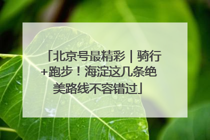 北京号最精彩｜骑行+跑步！海淀这几条绝美路线不容错过