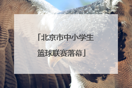 北京市中小学生篮球联赛落幕