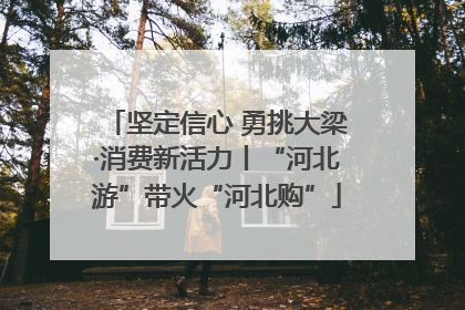 坚定信心 勇挑大梁·消费新活力丨“河北游”带火“河北购”