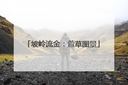 坡岭流金：萱草图景