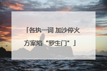 各执一词 加沙停火方案陷“罗生门”