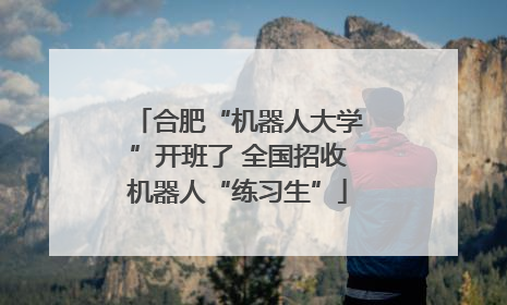 合肥“机器人大学”开班了 全国招收机器人“练习生”