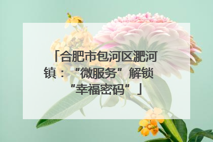 合肥市包河区淝河镇：“微服务”解锁“幸福密码”