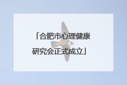 合肥市心理健康研究会正式成立