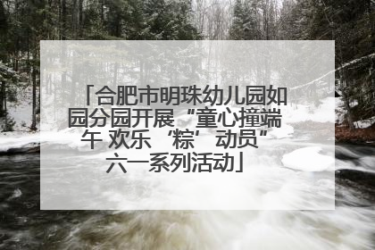 合肥市明珠幼儿园如园分园开展“童心撞端午 欢乐‘粽’动员”六一系列活动