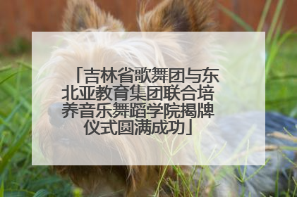 吉林省歌舞团与东北亚教育集团联合培养音乐舞蹈学院揭牌仪式圆满成功