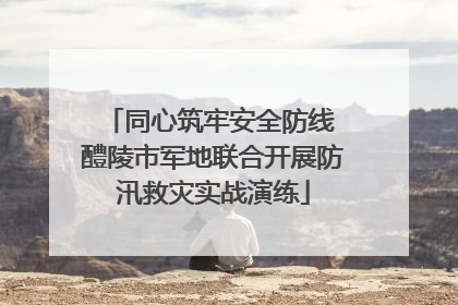 同心筑牢安全防线 醴陵市军地联合开展防汛救灾实战演练