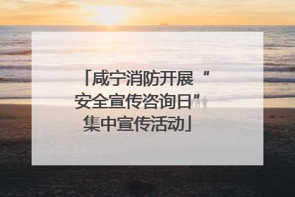 咸宁消防开展“安全宣传咨询日”集中宣传活动