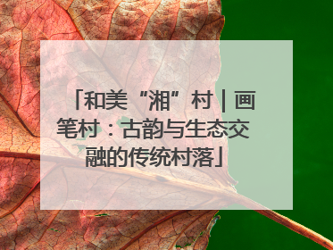 和美“湘”村｜画笔村：古韵与生态交融的传统村落