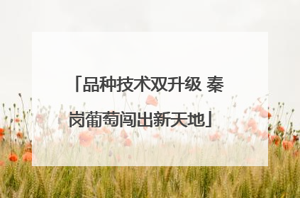 品种技术双升级 秦岗葡萄闯出新天地