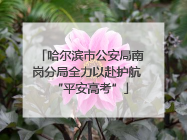 哈尔滨市公安局南岗分局全力以赴护航“平安高考”