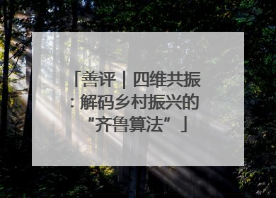 善评｜四维共振：解码乡村振兴的“齐鲁算法”