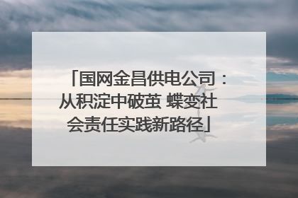 国网金昌供电公司：从积淀中破茧 蝶变社会责任实践新路径