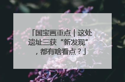 国宝画重点｜这处遗址三获“新发现”，都有啥看点？