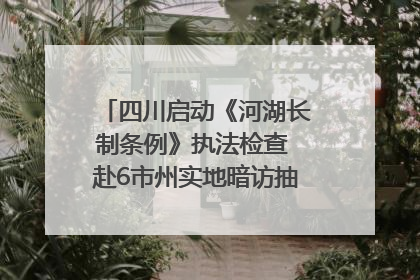 四川启动《河湖长制条例》执法检查 赴6市州实地暗访抽查｜四川人大之声