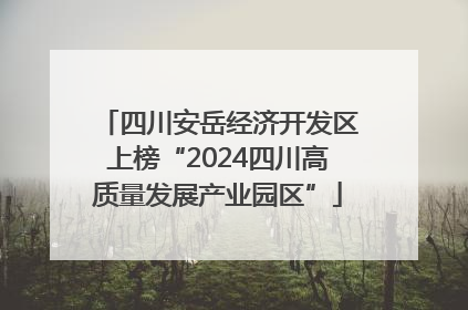 四川安岳经济开发区上榜“2024四川高质量发展产业园区”