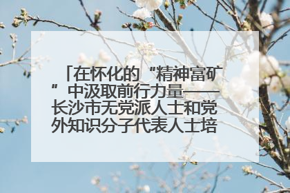 在怀化的“精神富矿”中汲取前行力量——长沙市无党派人士和党外知识分子代表人士培训班在怀化圆满举办