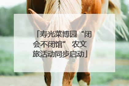 寿光菜博园“闭会不闭馆” 农文旅活动同步启动