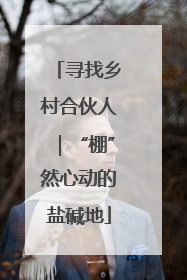 寻找乡村合伙人｜“棚”然心动的盐碱地