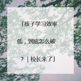 孩子学习效率低，到底怎么破？｜校长来了